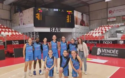 NVB basket
